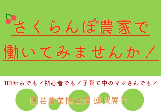 さくらんぼ農家で働いてみませんか！展示パネルの画像
