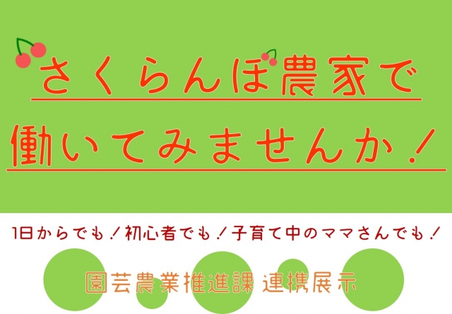 さくらんぼ農家で働いてみませんか！展示パネルの画像