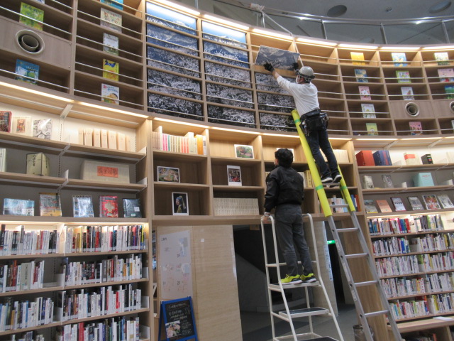 高層書架の展示替え時の画像